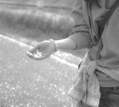 UNTITLED