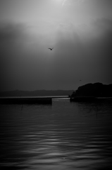 Matsushima　Walk 　#2