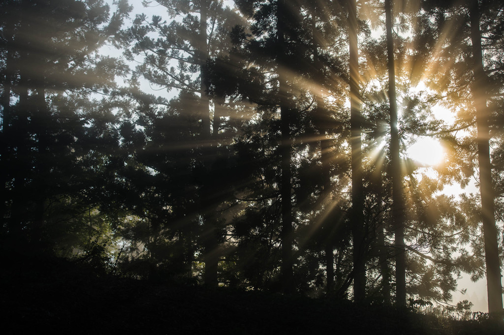UNTITLED