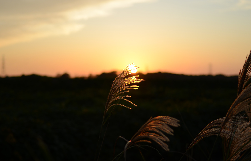 秋の夕暮れ