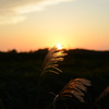 秋の夕暮れ