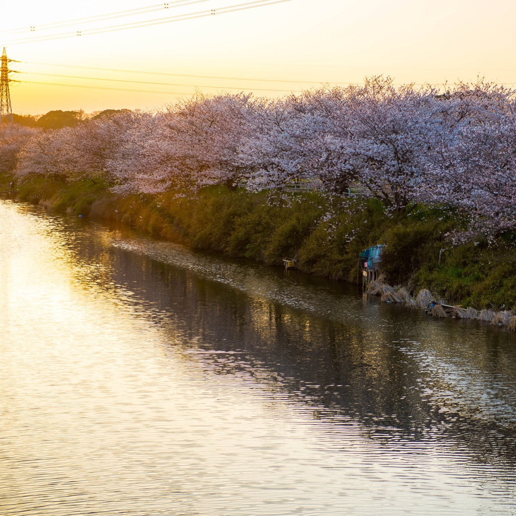 春の夕暮れ