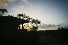 The morning sun