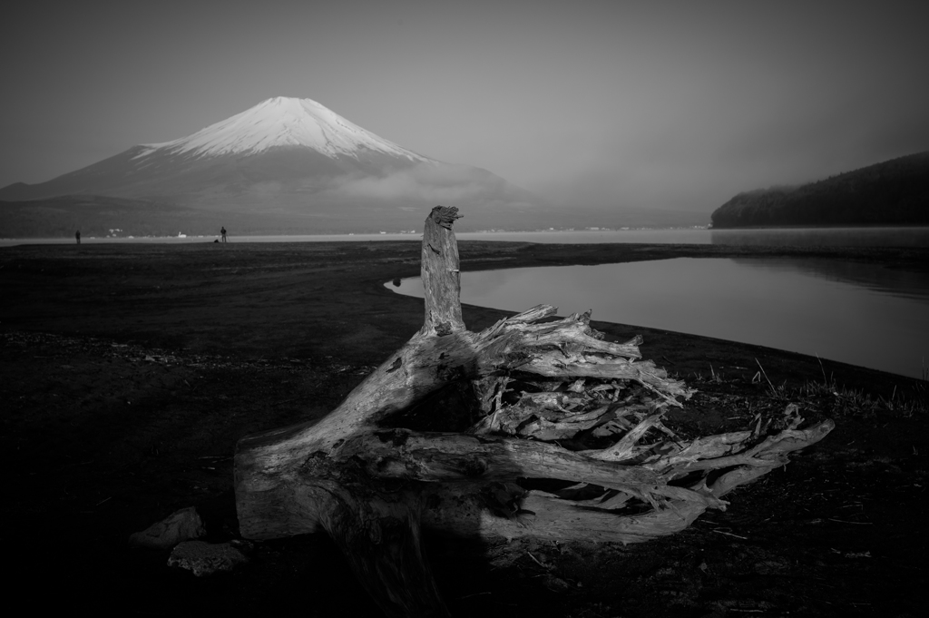 富士の風景