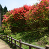船窪つつじ公園