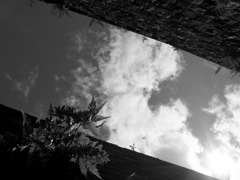 RIMG0017