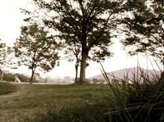tamiya park