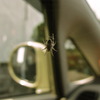 車の中に