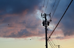 電柱。