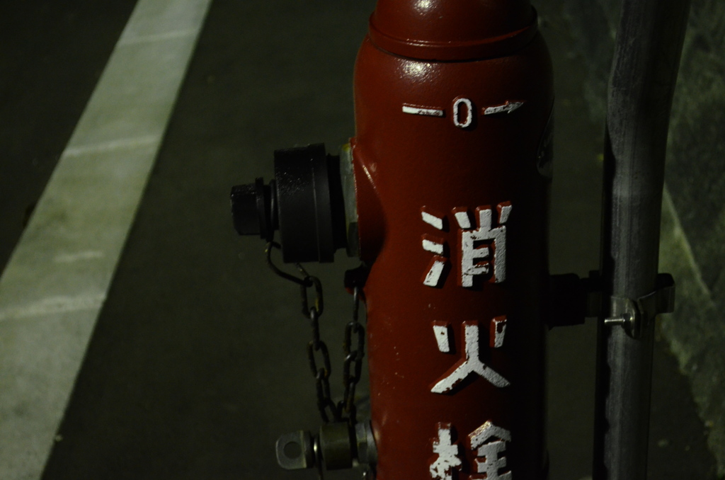 初めての撮影で夜のお散歩。