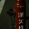 初めての撮影で夜のお散歩。
