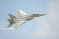 F15