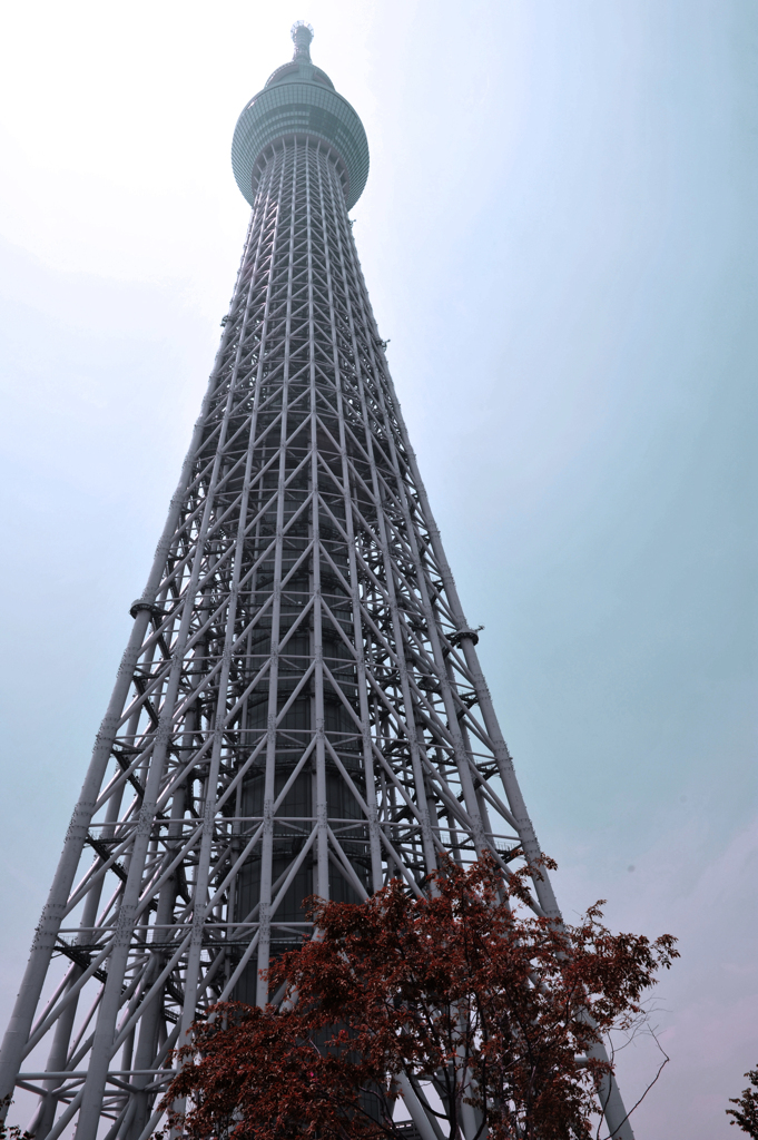 東京スカイツリー　完成♪