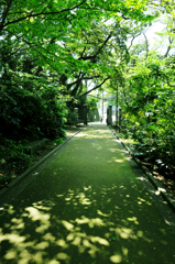 港の見える丘公園