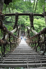 祖谷のかずら橋