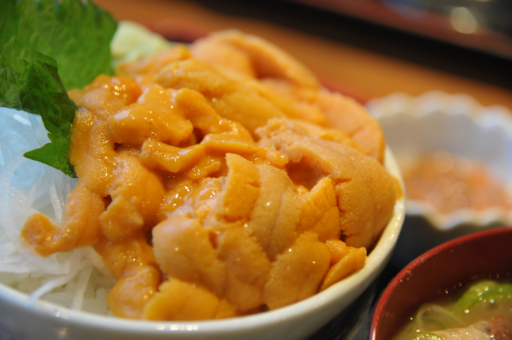 ウニ丼