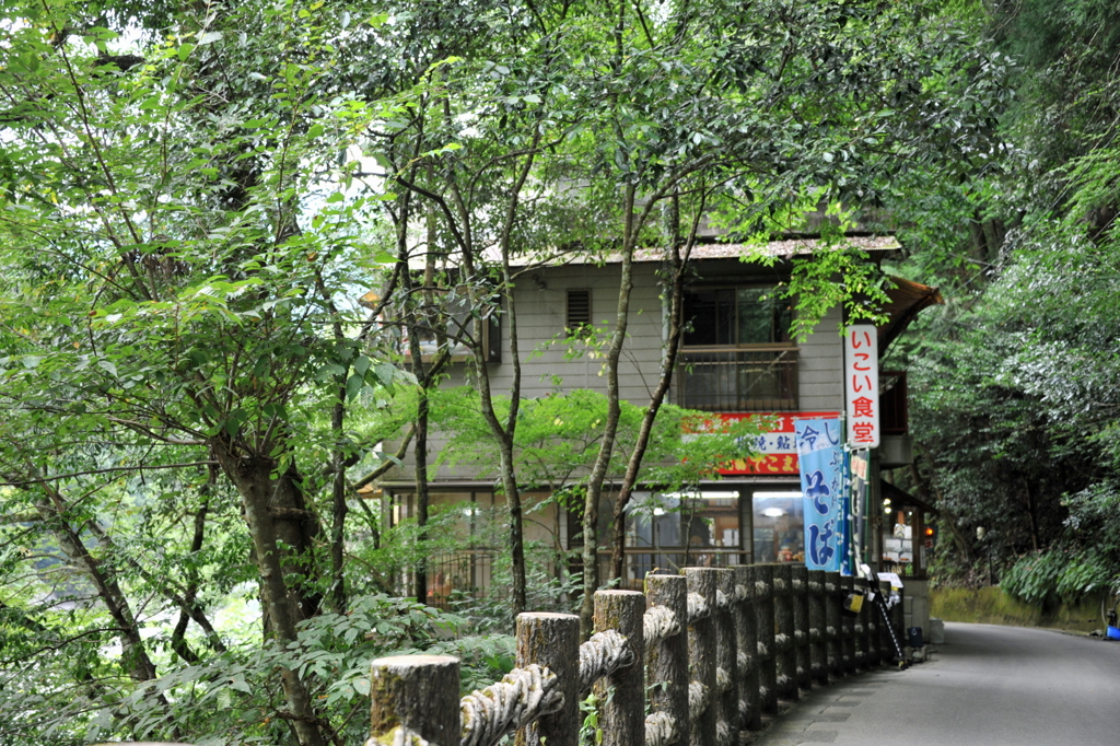 祖谷のかずら橋