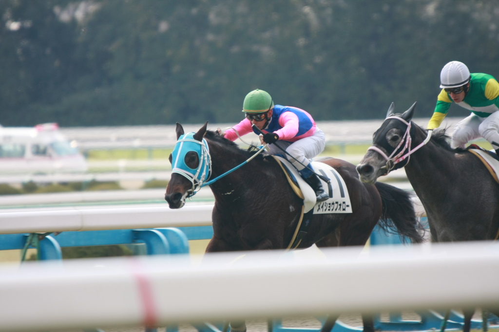 2012年2月13日 京都競馬場にて