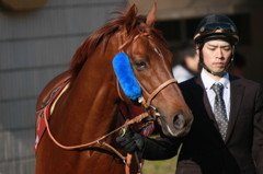 2012年2月13日 京都記念(GII) ダークシャドウ