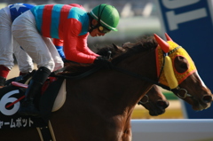 2012年2月18日 府中競馬場 初音S