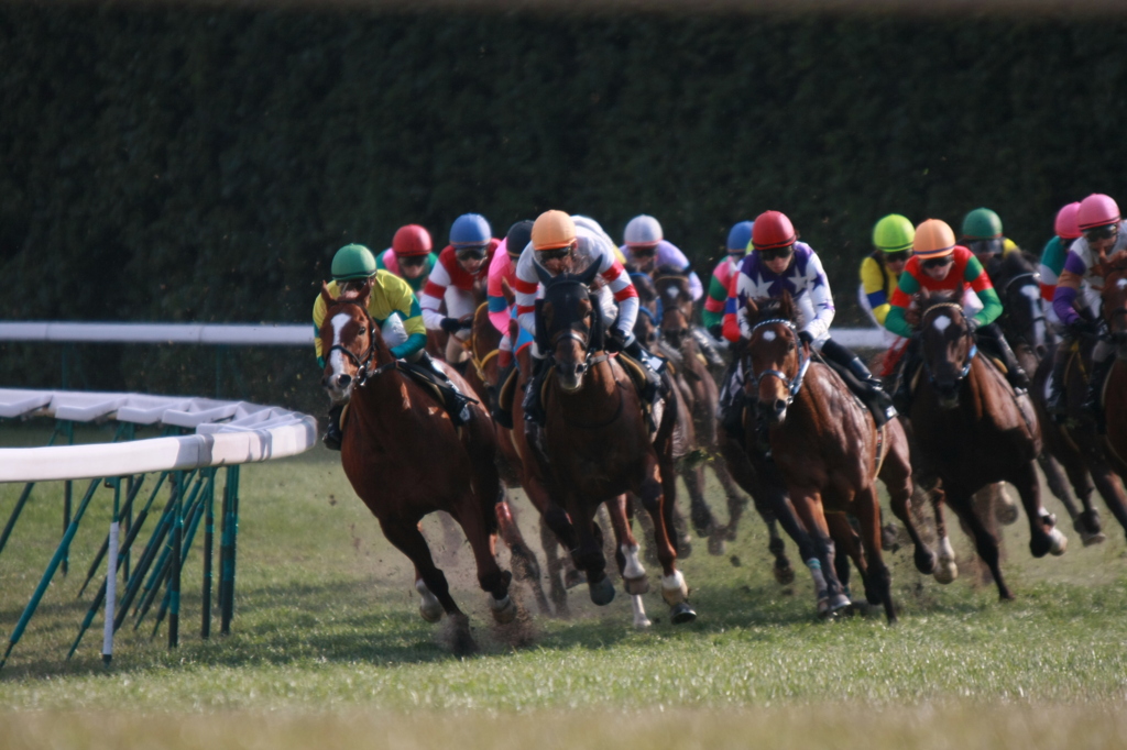 2012年2月13日 京都競馬場にて