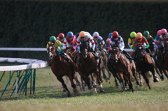 2012年2月13日 京都競馬場にて
