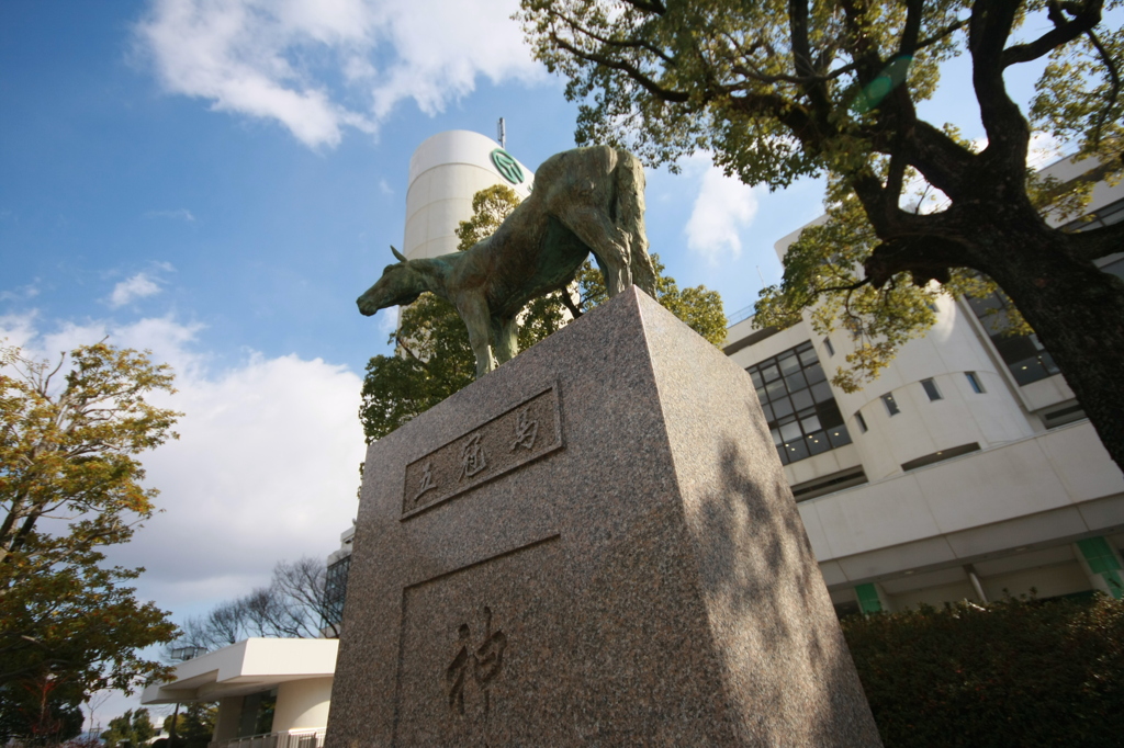 2012年2月13日 京都競馬場にて