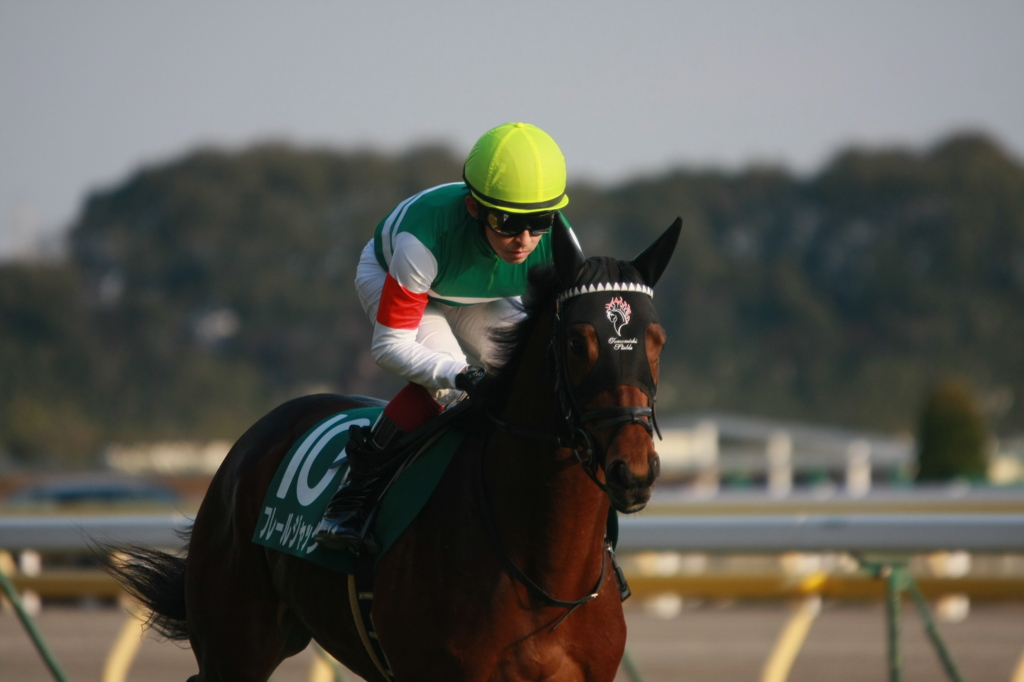 2012年2月5日11R 第62回 東京新聞杯(ＧIII)