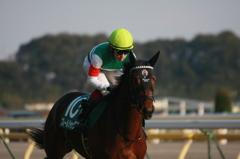 2012年2月5日11R 第62回 東京新聞杯(ＧIII)