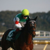 2012年2月5日11R 第62回 東京新聞杯(ＧIII)