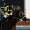 2012年2月5日10R 早春ステークス