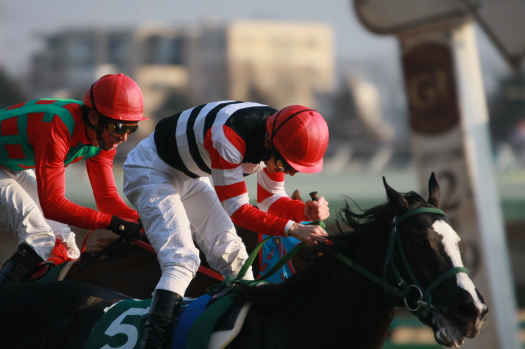 2012年2月5日11R 第62回 東京新聞杯(ＧIII)
