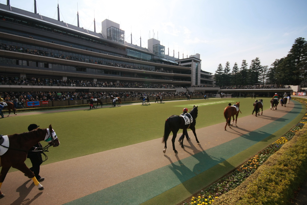 2012年2月5日9R テレビ山梨杯