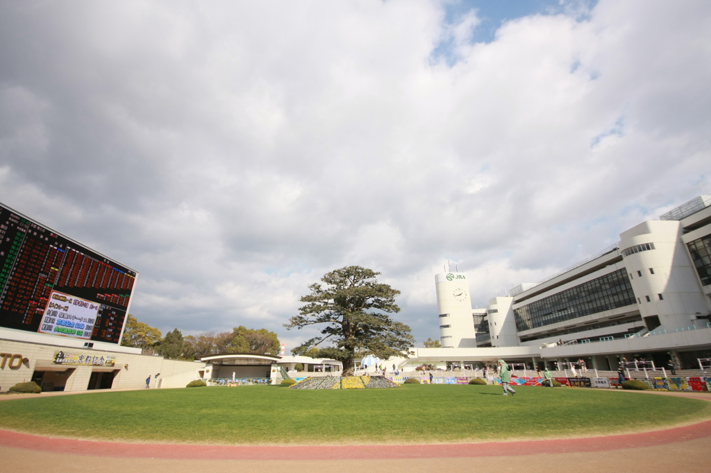 2012年2月13日 京都競馬場にて