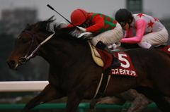 2012年3月4日中山競馬場 弥生賞(GII) コスモオオゾラ