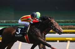 2011年6月4日 府中競馬場にて