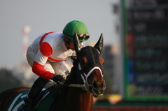 2012年2月5日11R 第62回 東京新聞杯(ＧIII)