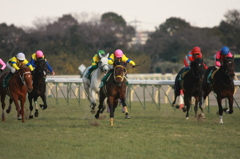 2012年2月18日 ダイヤモンドS