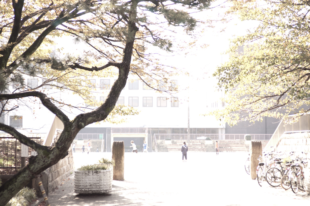 三宅沙也加 20111112 (10)
