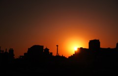 IMG_7931