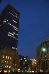 冬の夜空に