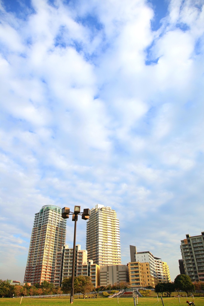 ある公園から見える建物