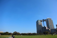 公園から見える景色