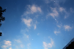 青空から雪が…