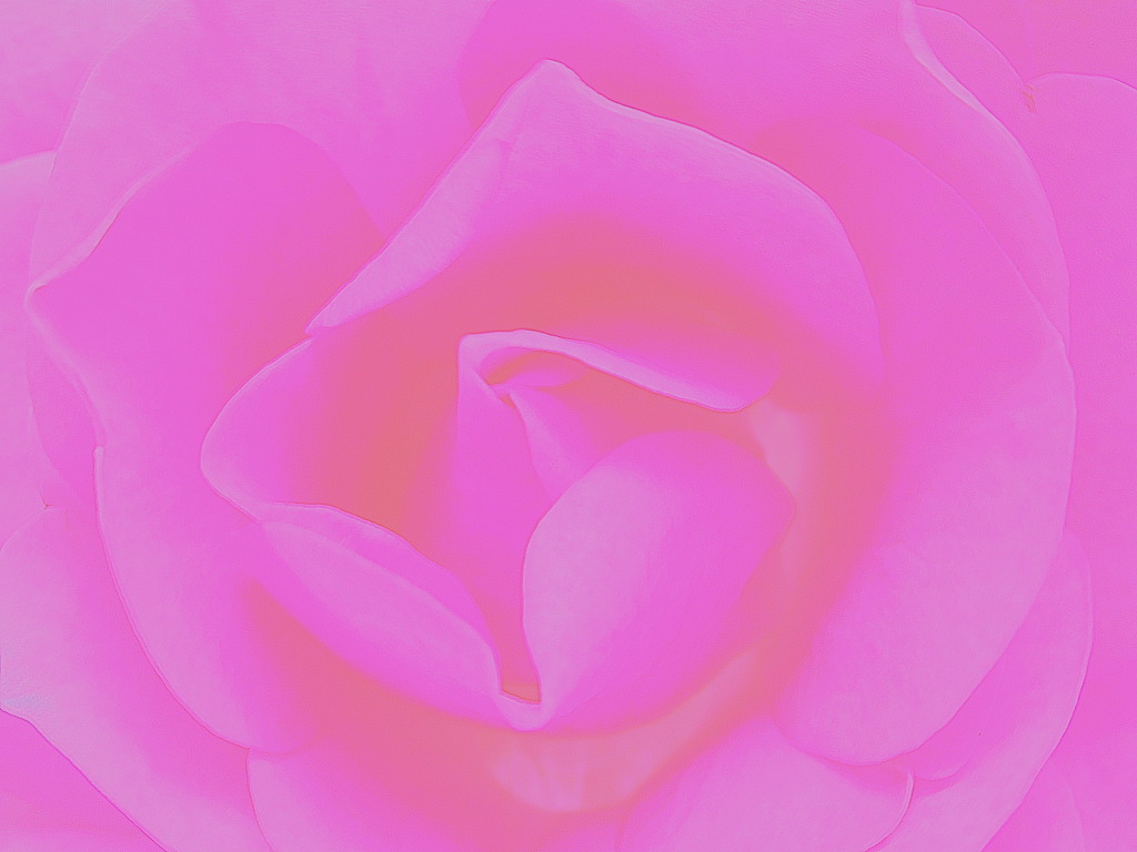 薔薇学　（２）