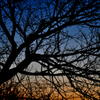 gradation