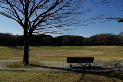 冬の公園