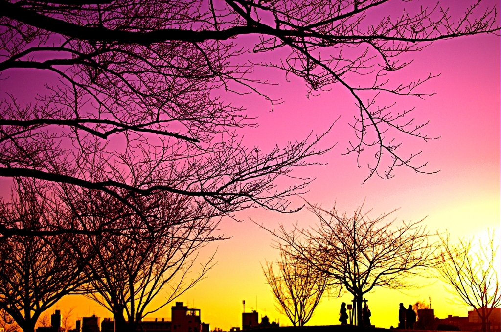 夕方の公園
