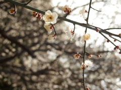 暖かな光とともに
