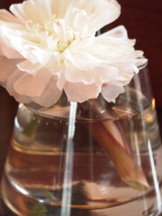 flower*